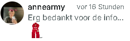 Vinted-Nachricht von annearmy
